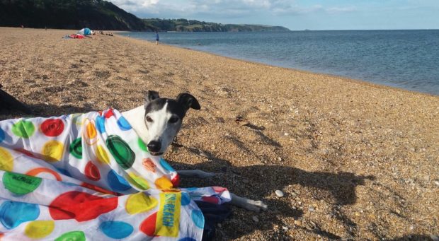 Strete Gate Beach, South Devon